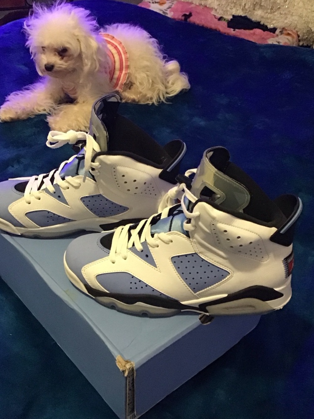 Air Jordan 6 Mens 9.5 Light Blue and White High-Top Sneakers